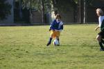 C-Elephants  0040_resize